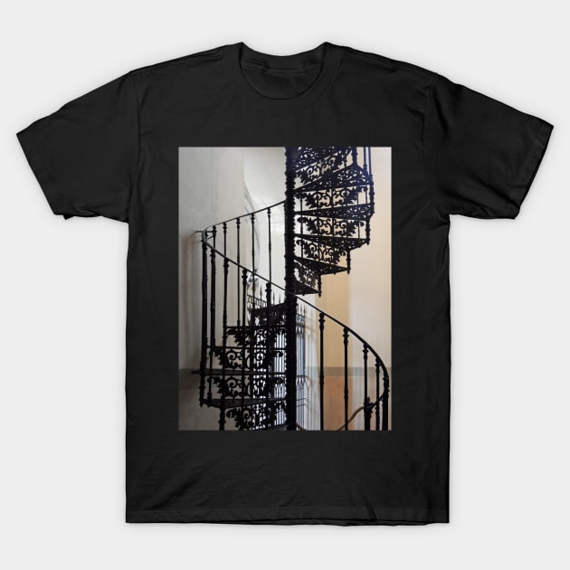 The Elegance Of Cast Iron T-Shirt by AlexaZari